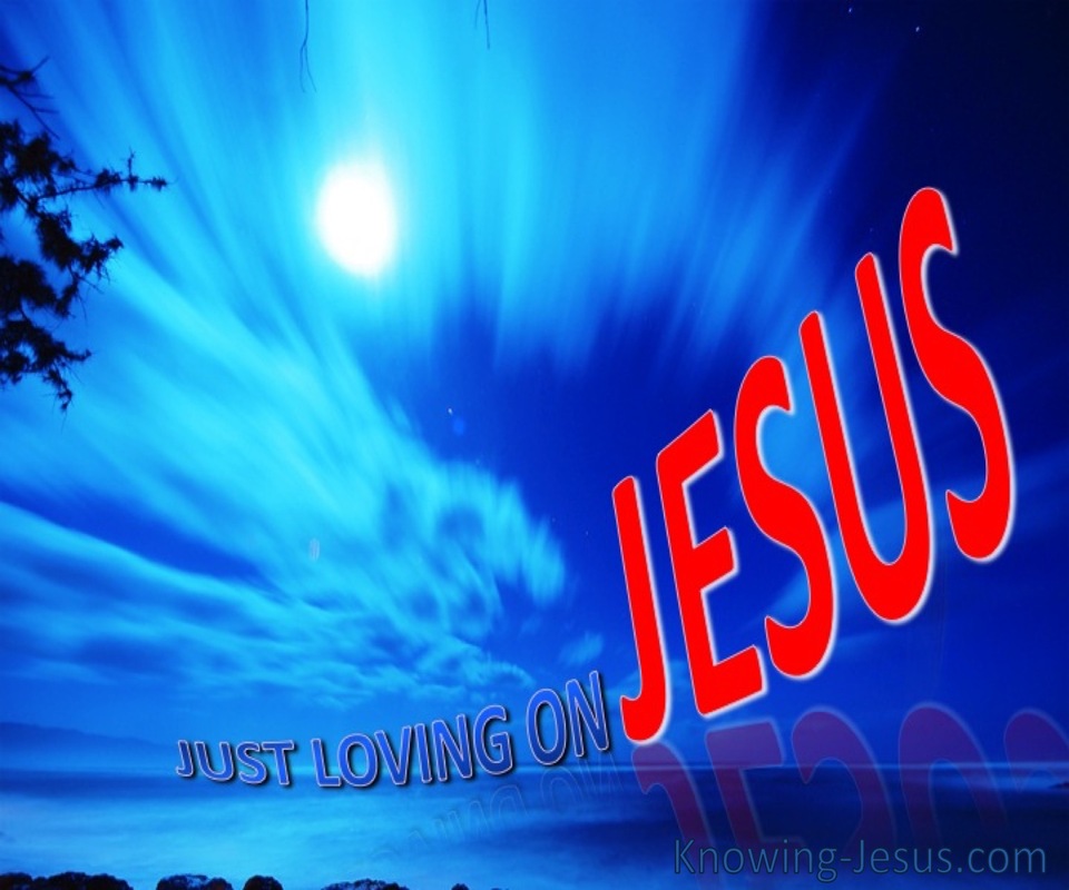 Just Loving On Jesus (devotional) (blue)
